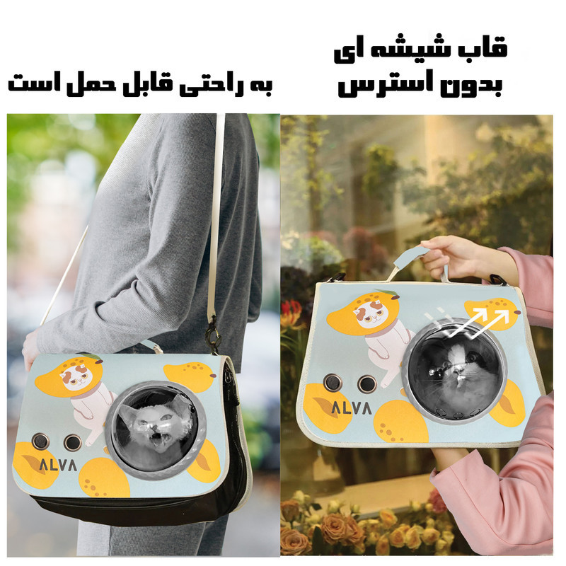 کیف حمل گربه آلوا مدل A66-PBL
