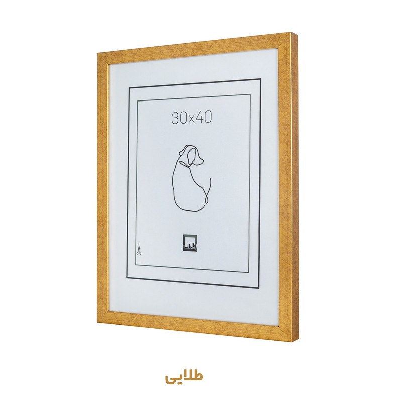 قاب عکس کرانه مدل عمیق F204-3040