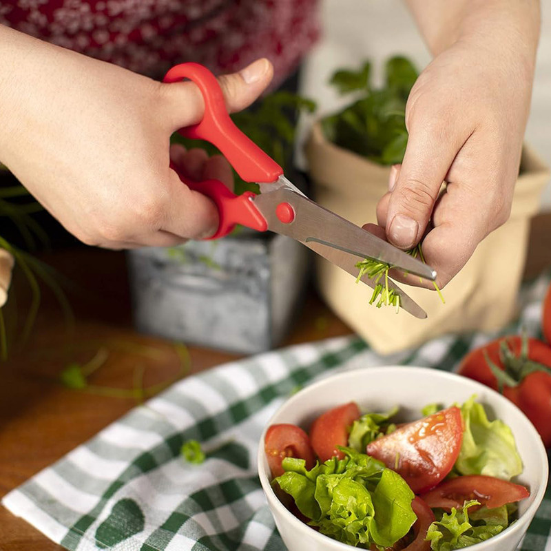 قیچی آشپزخانه کن ریکن مدل Household