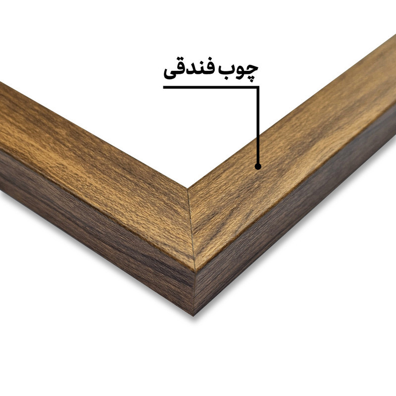 تابلو خندالو طرح السا و آنا و فروزن کد F8317