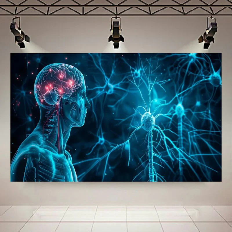 پوستر طرح دیجیتال مدل مغز انسان کد PD130790