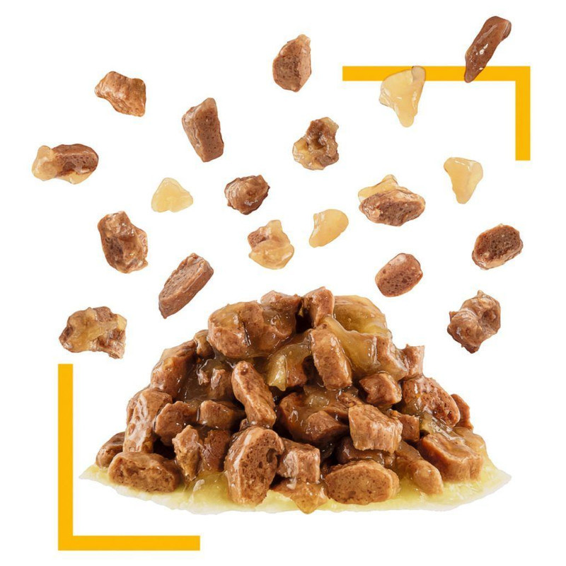 پوچ گربه رویال کنین مدل Sensory taste مناسب گربه حساس به طعم غذا وزن 85 گرم