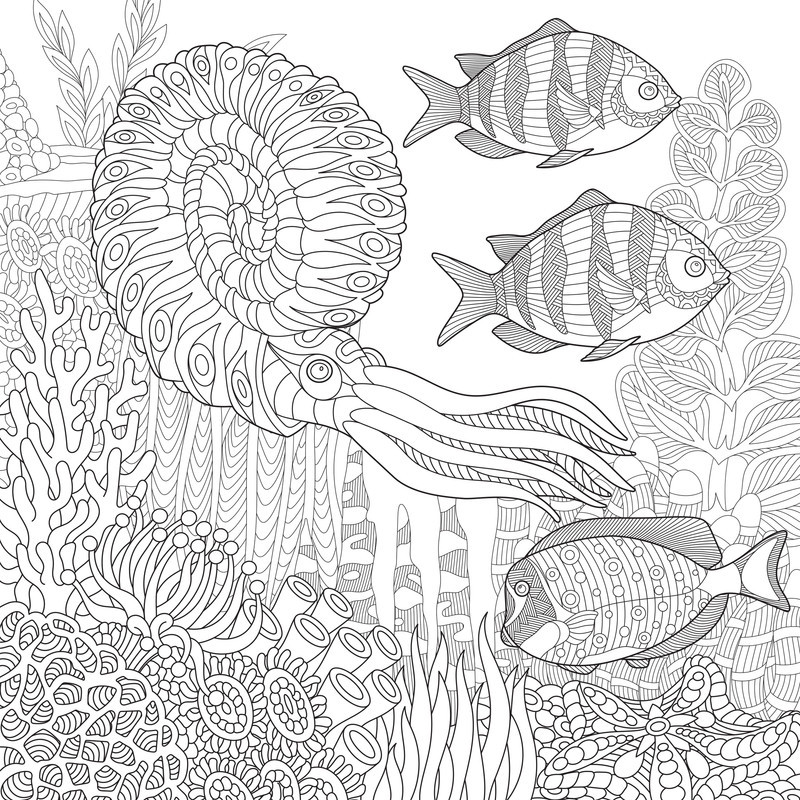 دفتر رنگ آمیزی مدل Lost Ocean