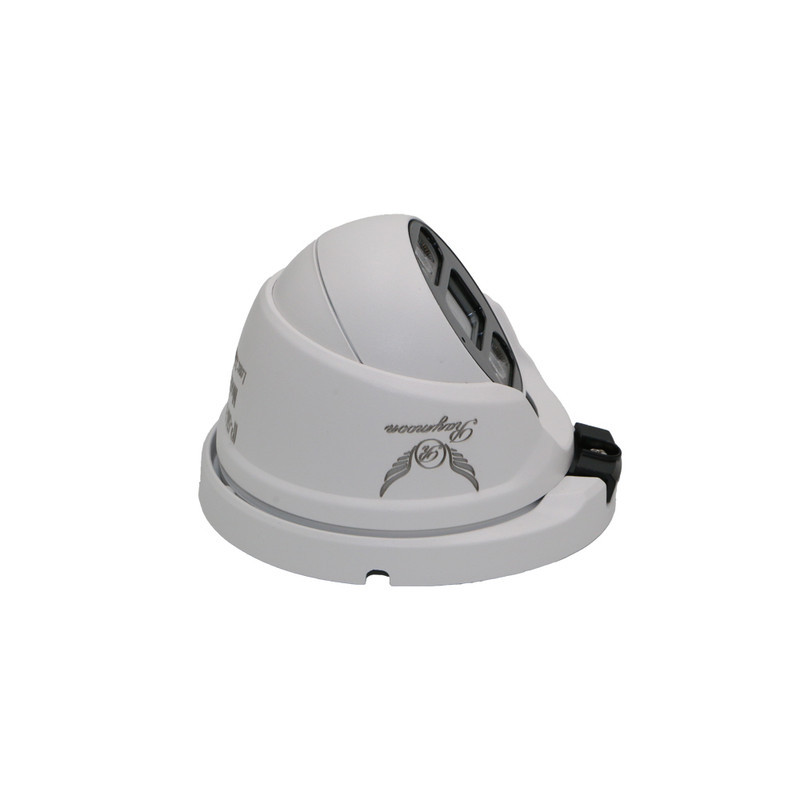 دوربین مداربسته تحت شبکه رایمون مدل 5MP-H52-IP-AI