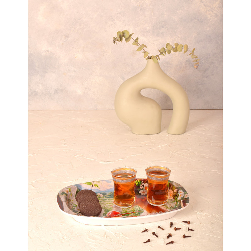 سینی بدون دسته مهروز مدل 6651 نقاش سایز 17×26 سانتی متر