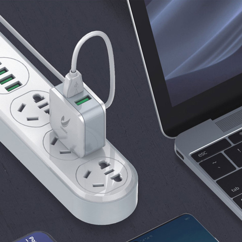 شارژر دیواری 12 وات لونارک مدل LW55 به همراه کابل تبدیل Micro USB