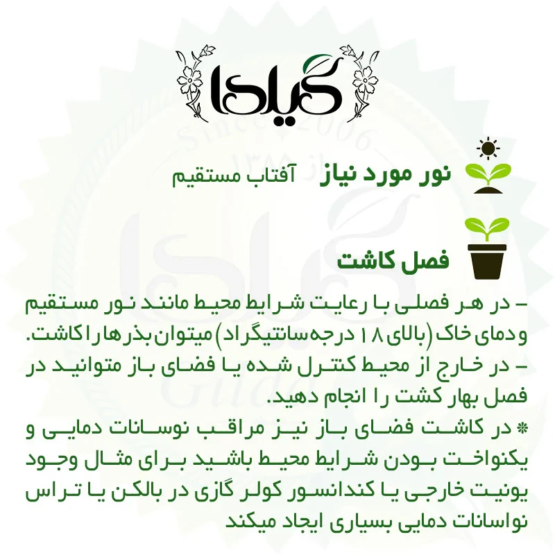 بذر جعفری پاکوتاه الوان گیلدا کد 870
