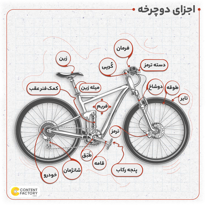 دوچرخه کوهستان المپیا مدل Summer s80 سایز طوقه 26