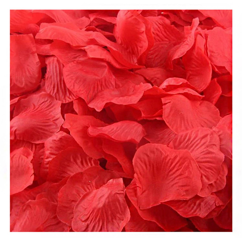 گلبرگ گل مصنوعی پارچه‌ای مدل DSH 104 بسته 144 عددی، ابعاد 6×6 سانتی‌متر، مقاوم در برابر پلاسیدگی، مناسب تزیین جشن و دکوراسیون خانگی و آتلیه