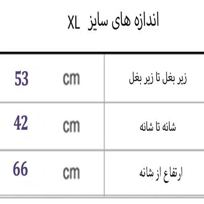پافرمردانه مدل FR کد M2655