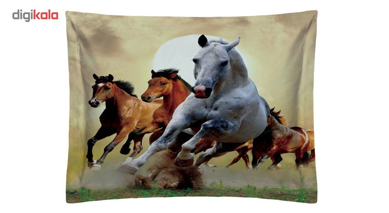 روبالشی رنس مدل P1-20051 سایز 50x70