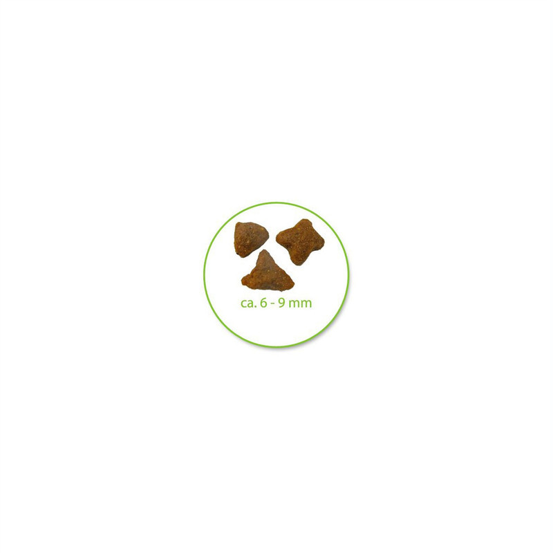 غذای خشک گربه بالغ رویال کنین مدل Sensible وزن 2 کیلوگرم