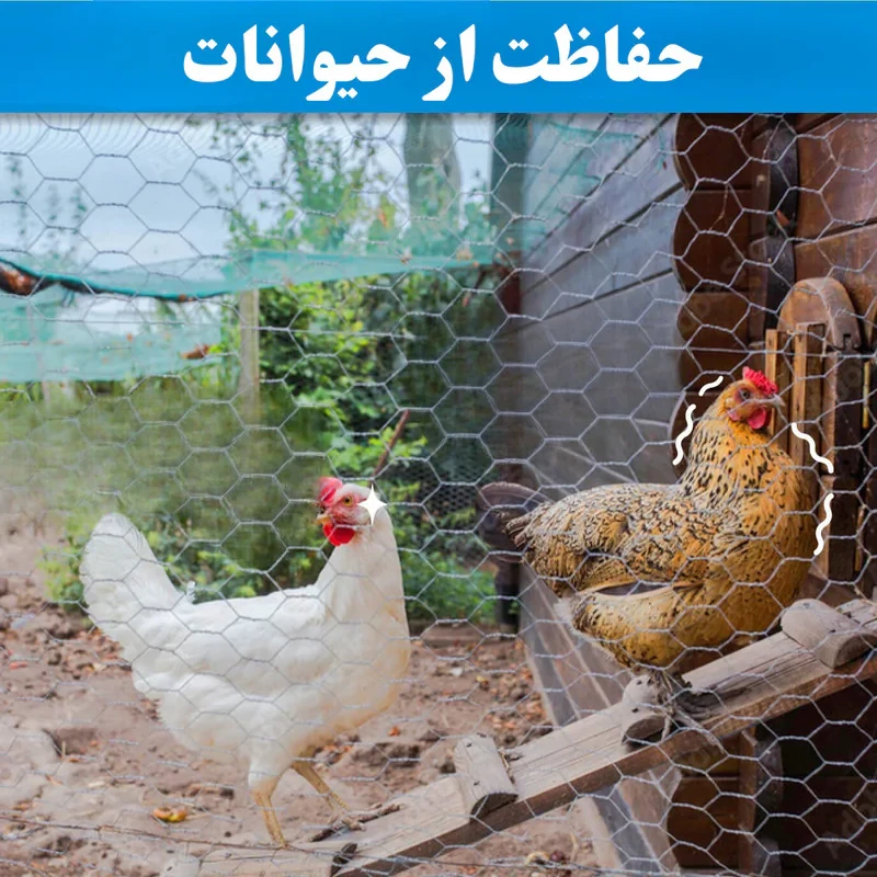 توری مدل مرغی گالوانیزه کد G9010 طول 10 متر