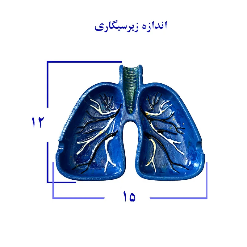 زیرسیگاری مدل ریه انسان