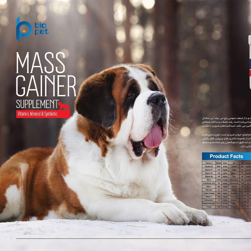 پودر مکمل سگ بایو پت مدل عضله‌ساز Mass Gainer وزن 400 گرم