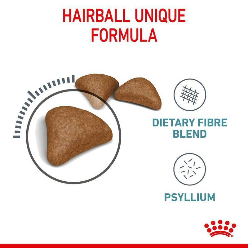 غذا خشک گربه رویال کنین مدل Hairball Care وزن 2 کیلوگرم به همرا بستنی گربه گربه