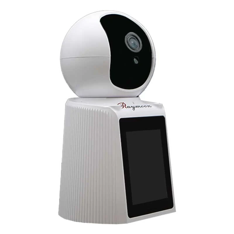 دوربین مداربسته تحت شبکه رایمون مدل 2 مگاپیکسل کد RW-300