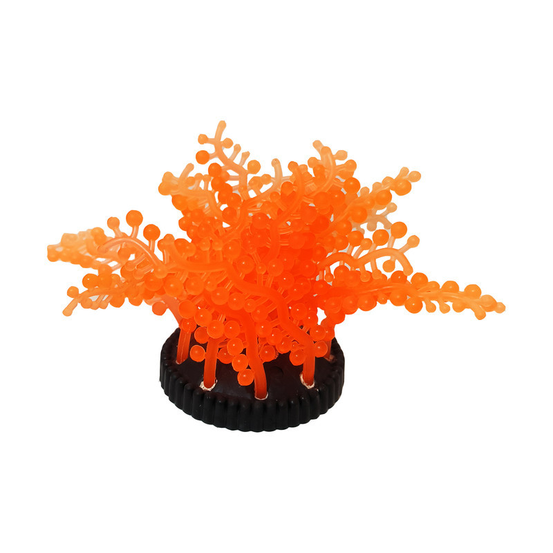 گیاه تزیینی آکواریوم مدل ژله ای کد ZH02