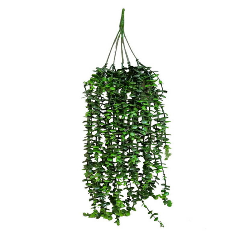 گل مصنوعی آویز شمشاد 5 شاخه با ارتفاع 80 سانتی‌متر، دارای حجم برگ متراکم و شاخه‌های کوتاه و بلند، مناسب دکوراسیون داخلی منزل و محل کار