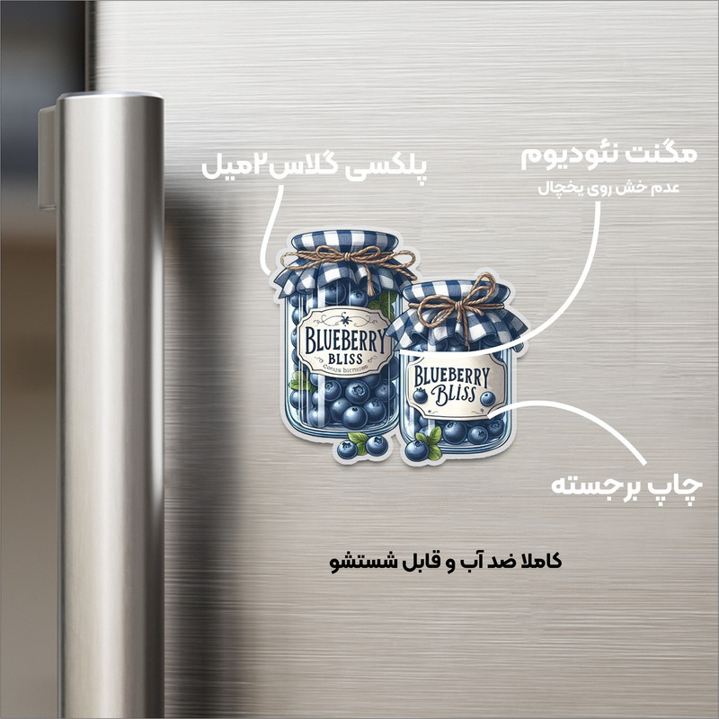 مگنت مدل یخچالی طرح شیشه بلوبری