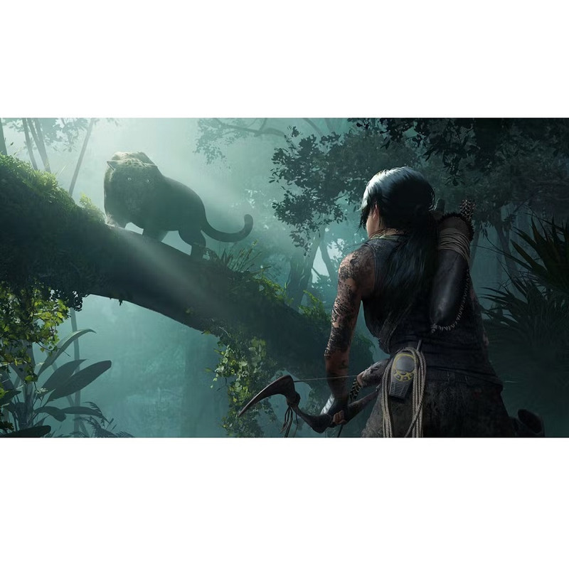 بازی Tomb Raider مخصوص PS4