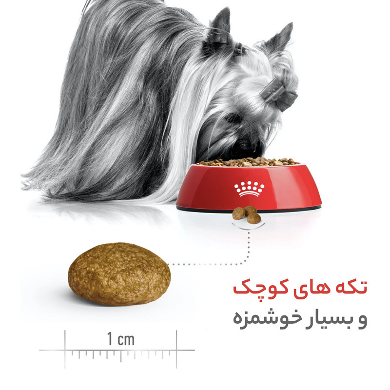 غذای خشک سگ رویال کنین مدل ایکس اسمال بالغ XS-Adult وزن 15 کیلوگرم