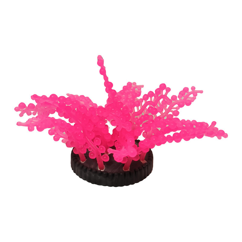 گیاه تزیینی آکواریوم مدل ژله ای کد ZH05