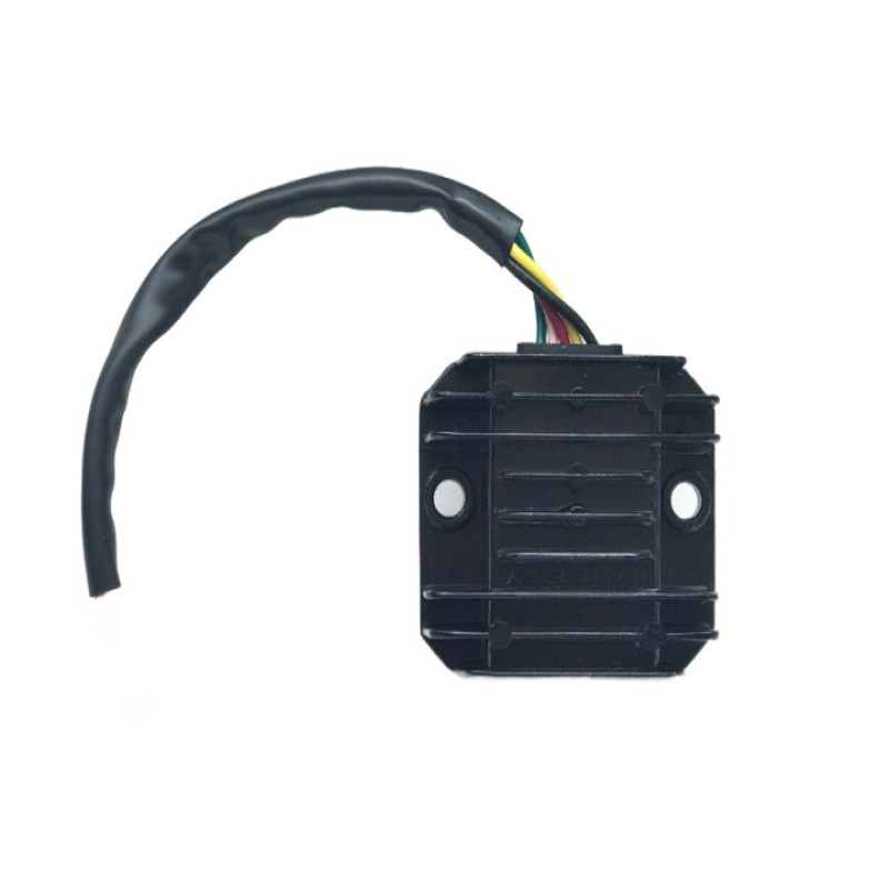 شارژر باتری موتور سیکلت راپیدو مدل R125GB