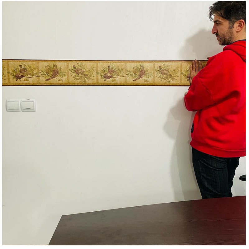 بردر کاغذ دیواری مدل WP30513