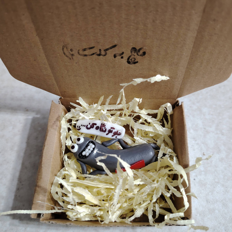 عروسک داشبورد خودرو طرح جلوتو نگاه کن