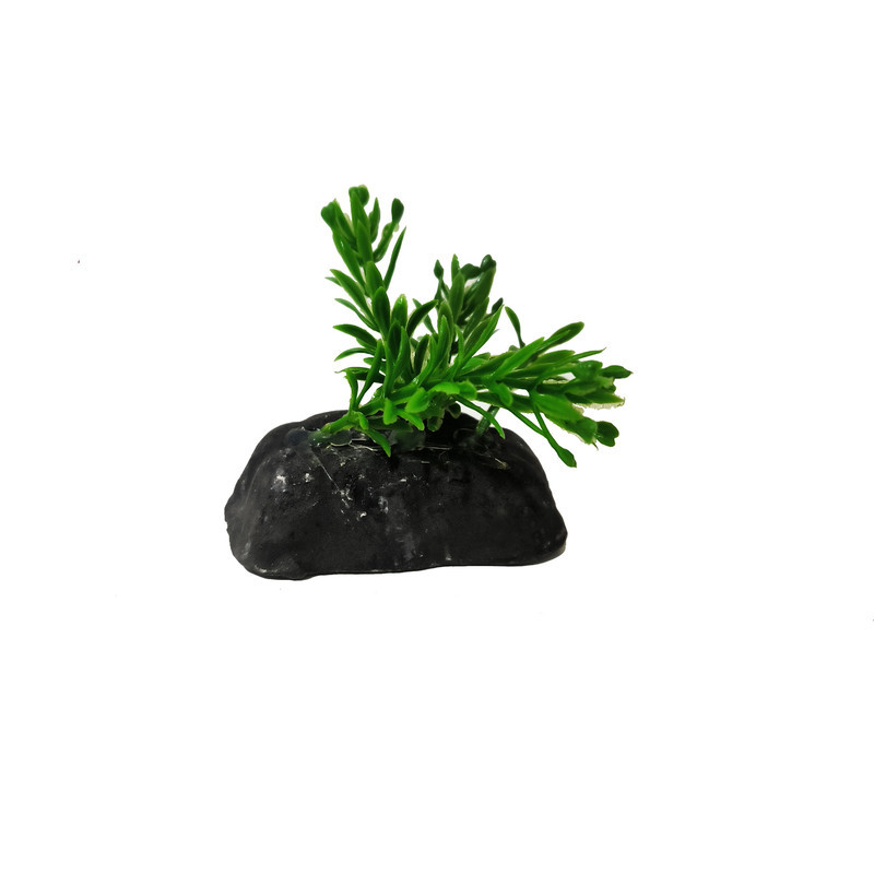 گیاه تزیینی آکواریوم کد VB09 مجموعه 10 عددی