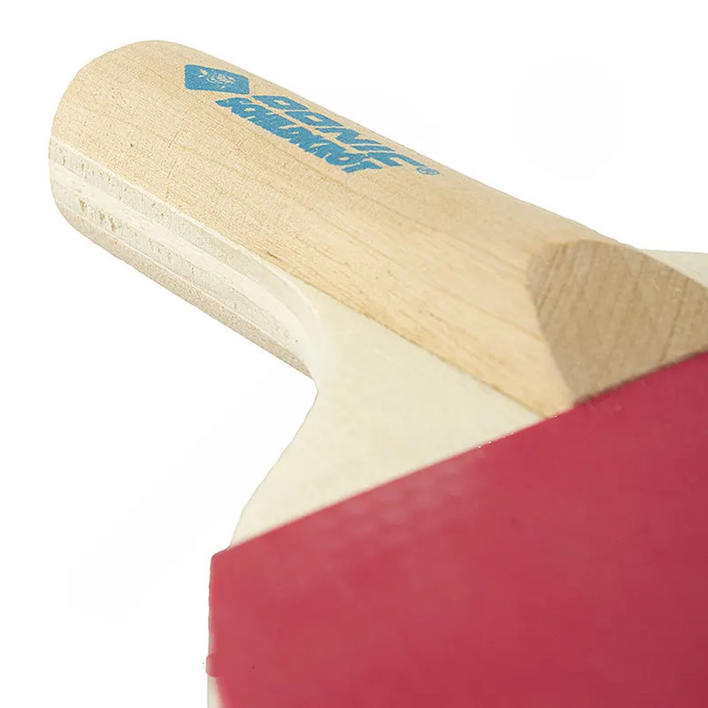 راکت پینگ پنگ دانیک شیلدکروت مدل Mini Tenis به همراه تور و توپ