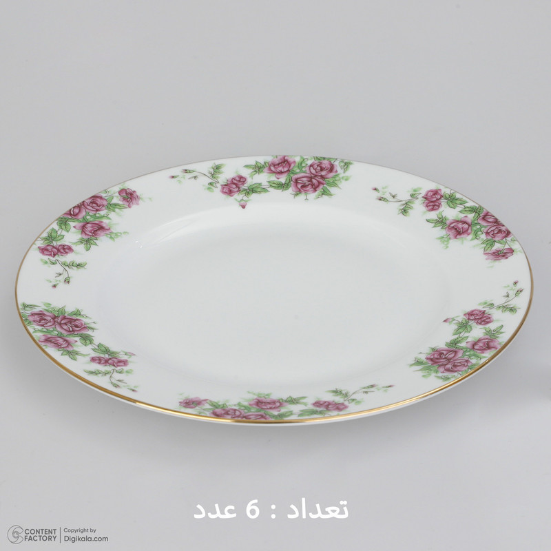 سرویس غذاخوری 28 پارچه چینی زرین ایران سری ایتالیا اف مدل Bidgol درجه یک