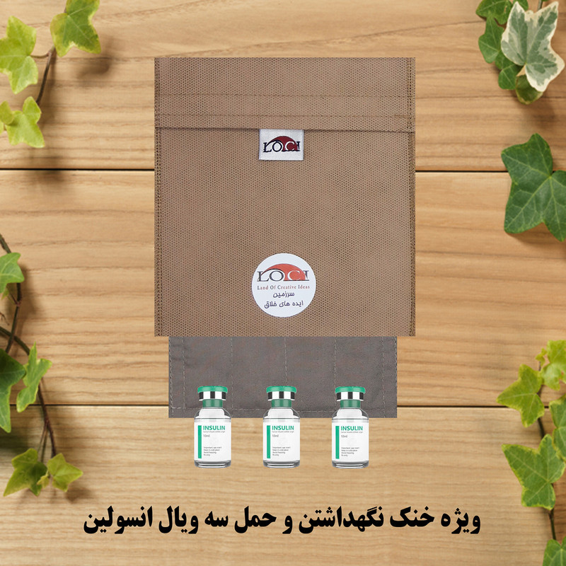 کیف خنک نگهدارنده انسولین لوک آی مدل 3 ویال کد 00 مجموعه 2 عددی