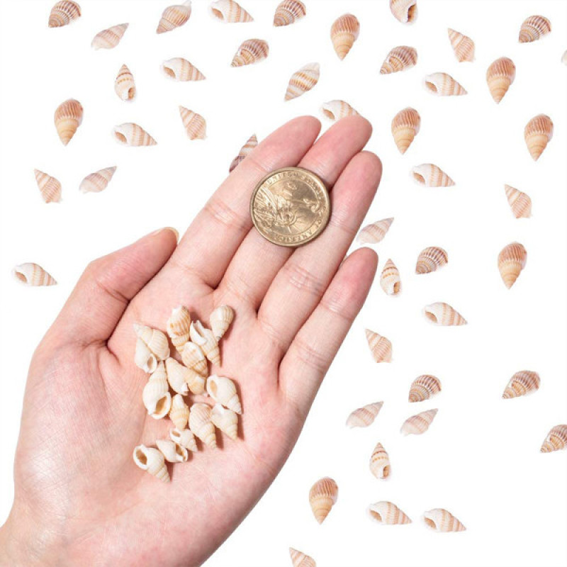 صدف تزیینی آکواریوم کد 3 وزن 30 گرم