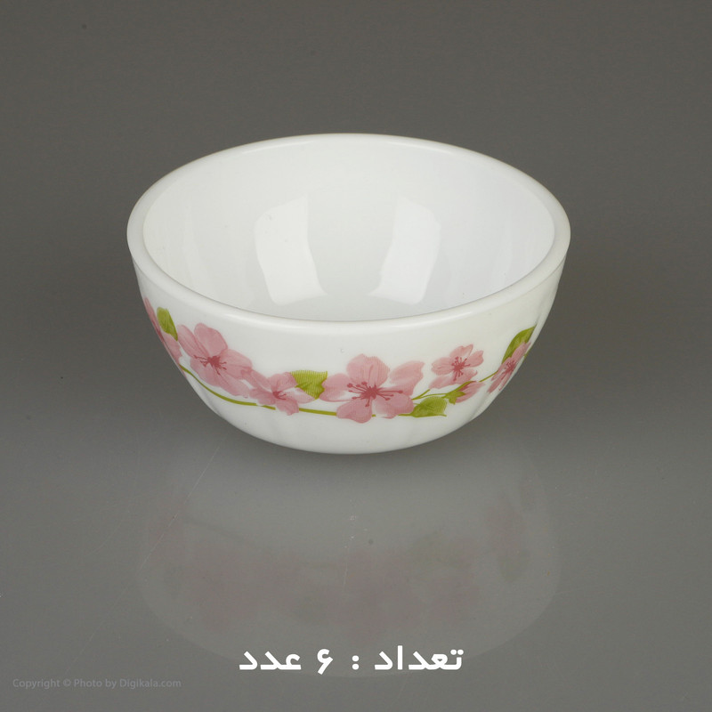 سرویس 25 پارچه اپال طرح دایره مدل اما کنگره