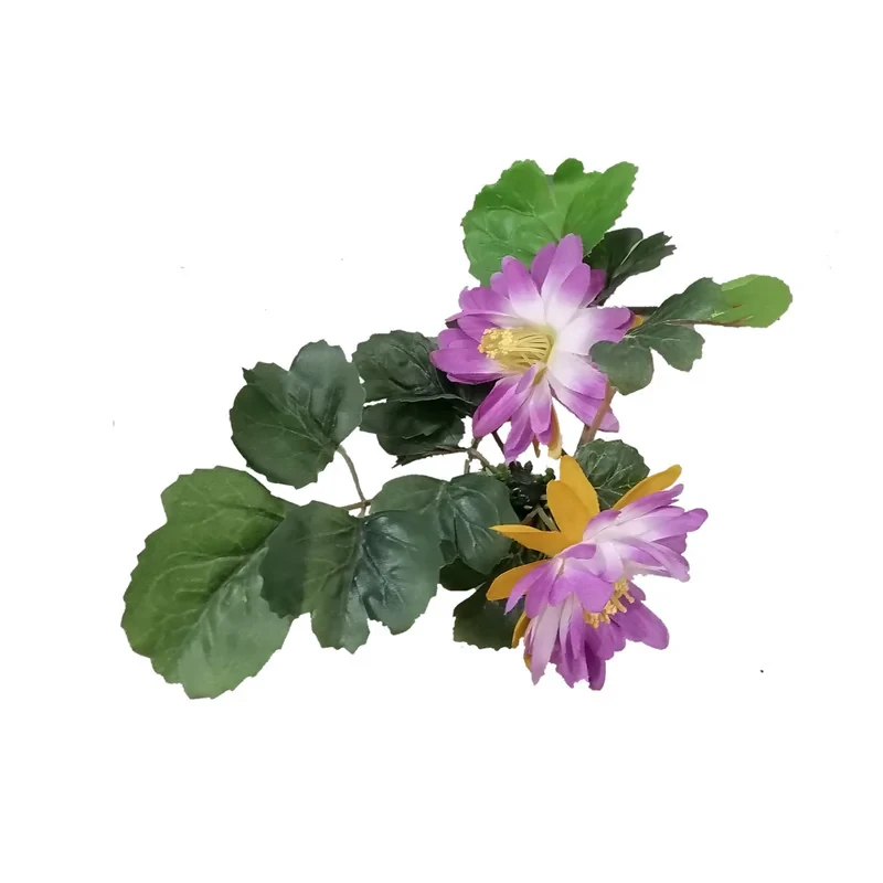 گیاه تزیینی آکواریوم مدل نیلوفر ابی