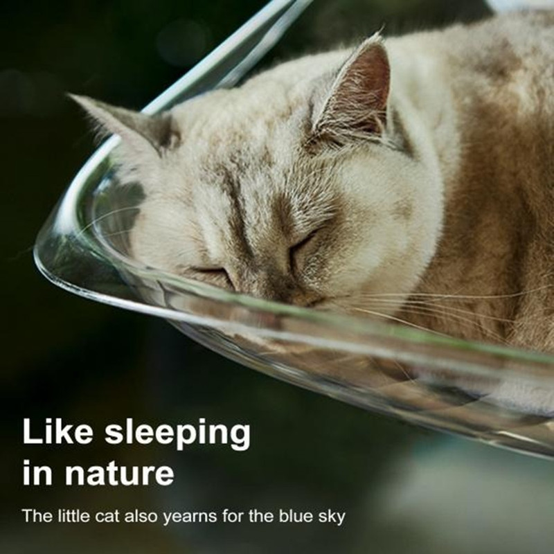 جای خواب گربه مدل شیشه ای مکشی window Bed