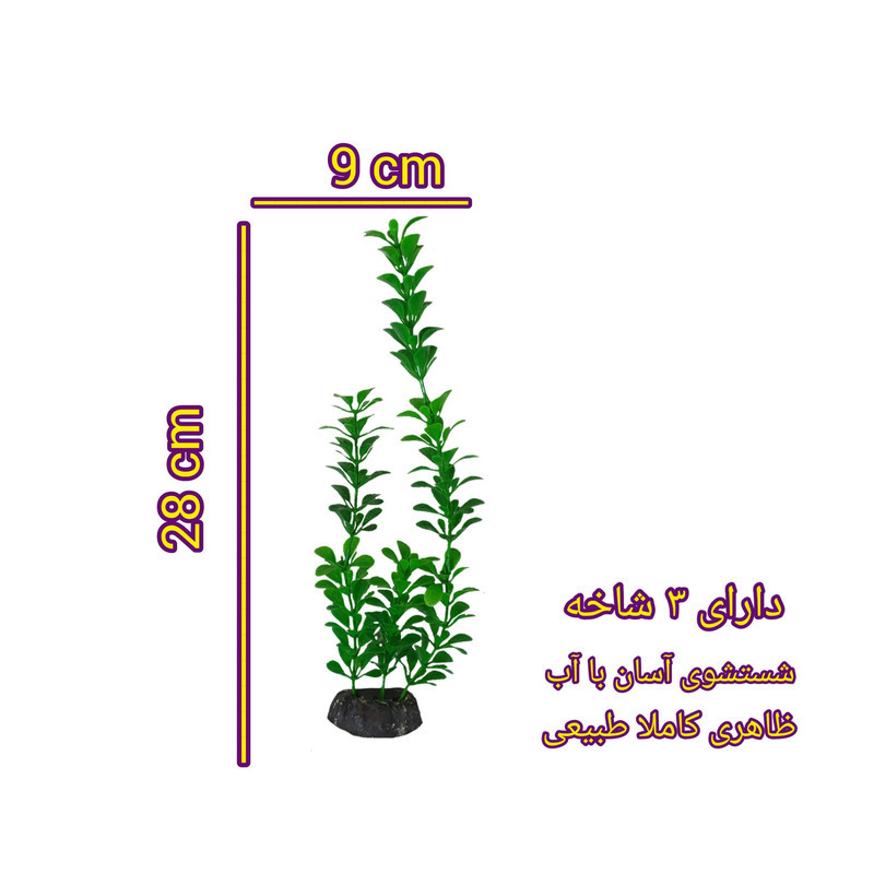 گیاه تزیینی آکواریوم مدل دلوین