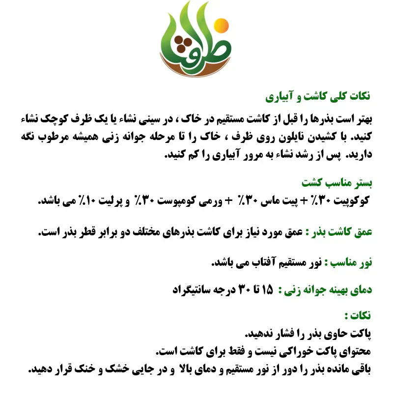 بذر چمن خارجی اسپرت چهار تخم ظرافت مدل BZ9663