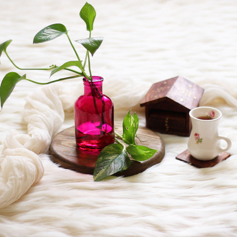 گلدان دکوری شیشه‌ای مناسب قلمه زدن مدل SD23 مجموعه 2 عددی، قابل استفاده برای گل و گیاهان طبیعی و خشک، ابعاد 13x7x7 سانتی‌متر، وزن 200 گرم، تمیزکاری با پارچه مرطوب