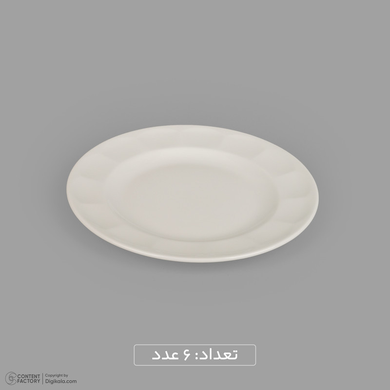 سرویس غذاخوری 29 پارچه 6 نفر چینی زرین ایران مدل نئوکلاسیک سفید درجه 3