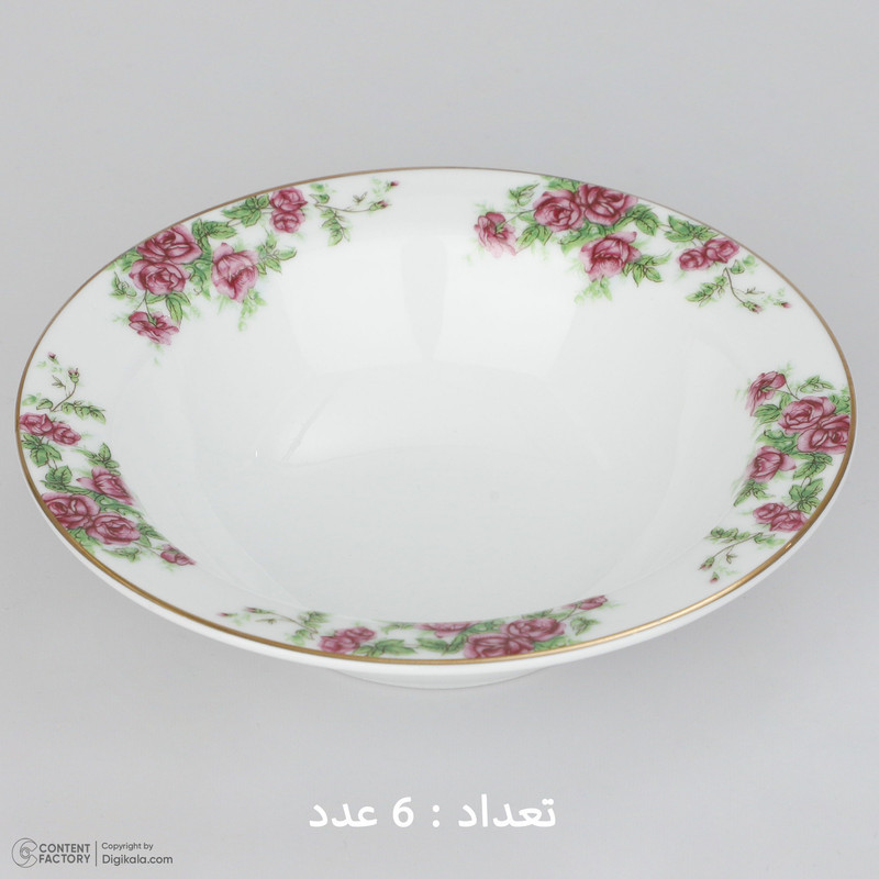 سرویس غذاخوری 28 پارچه چینی زرین ایران سری ایتالیا اف مدل Bidgol درجه یک