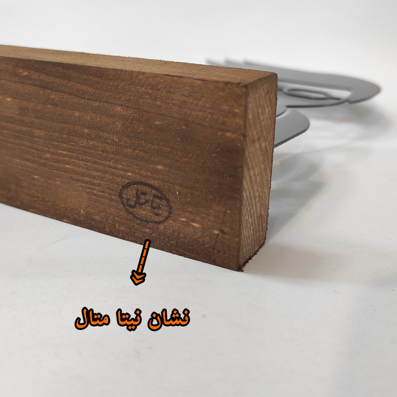 تندیس نیتا متال مدل کادر درمان کد 1