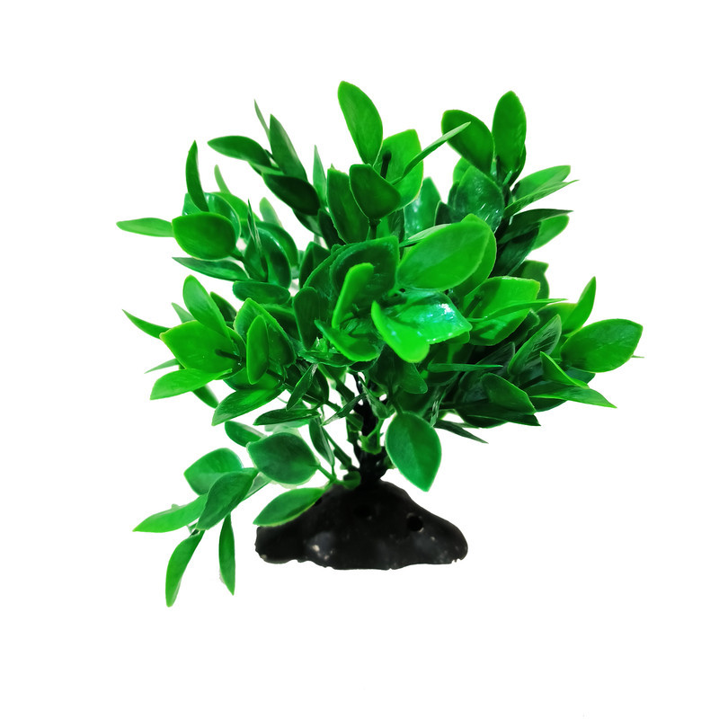 گیاه تزیینی آکواریوم کد VB06 مجموعه 4 عددی