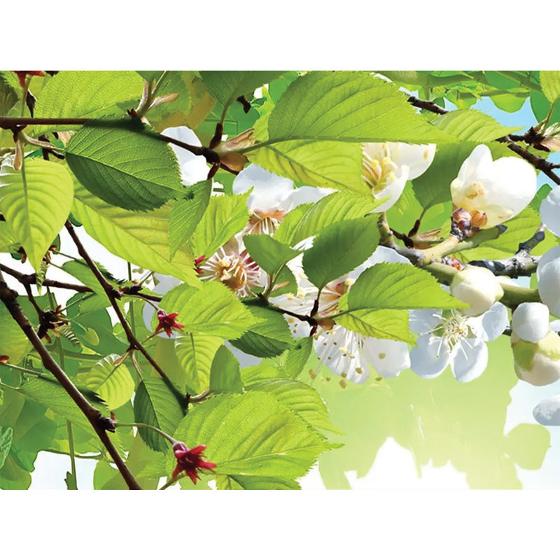 پوستر سه بعدی ژیوار کد NA-6294