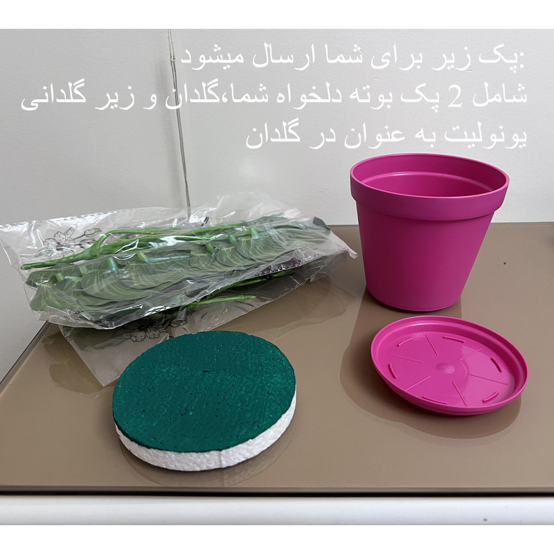 گلدان به همراه گل مصنوعی پوتوس نقطه‌ای مدل Rainblows Twin، ابعاد 11×11×20 سانتی‌متر، وزن 100 گرم