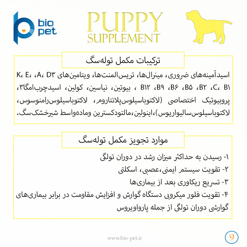 پودر مکمل توله سگ بایو پت مدل Puppy وزن 400 گرم