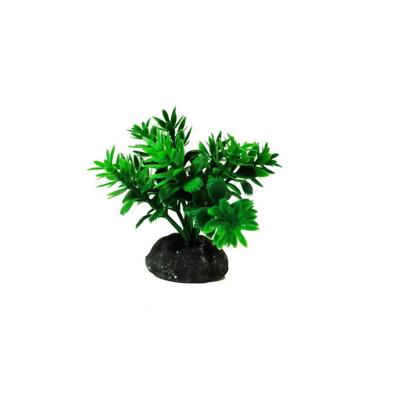 گیاه تزیینی آکواریوم کد VB09 مجموعه 10 عددی