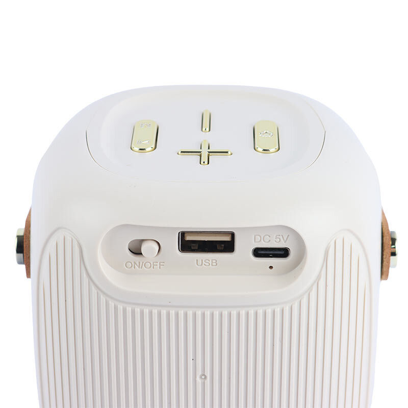 اسپیکر بلوتوثی قابل حمل گریت نایس مدل GTS-1679